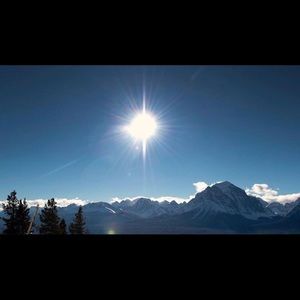 Meet your Posher, Viviane